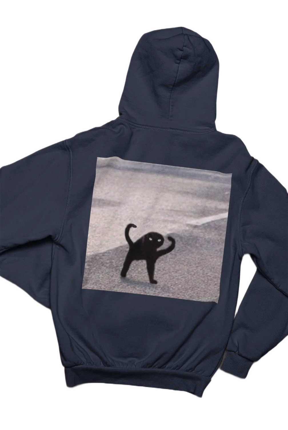 black cat lover Hoodie